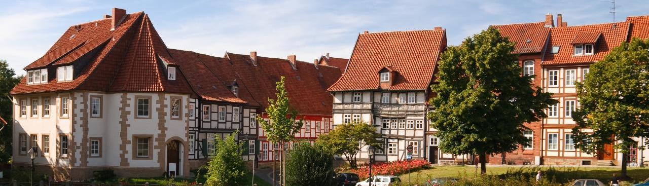 im Bildvordergrund ist eine grüne Wiese, dahinter eine Straße mit vereinzelten Bäumen bei sommerlichem Sonnenschein und blauem Himmel. Im Zentrum des Bildes sieht man die Fachwerkfassaden der Häuser im Hildesheimer Brühl.