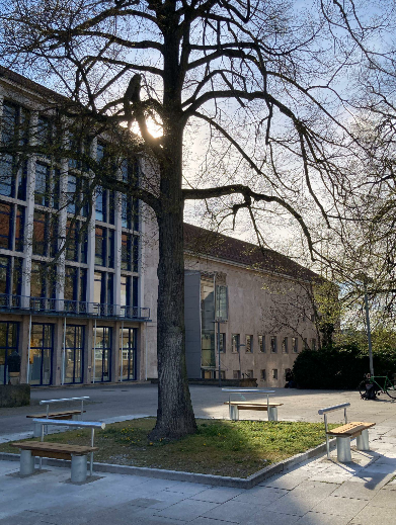Ein großer Baum steht vor einem modernen Gebäude mit vielen Fenstern, umgeben von Bänken und einem gepflasterten Platz. Ein großer Baum steht vor einem modernen Gebäude mit vielen Fenstern, umgeben von Bänken und einem gepflasterten Platz.
